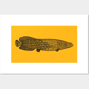 Arapaima - huge freshwater fish hand drawing Posters and Art